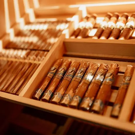 Dali Val D'europe, Tapestry Collection By Hilton 尚特洛普恩布里